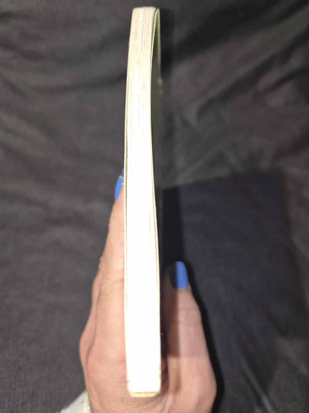 The Berenstain Bear Book